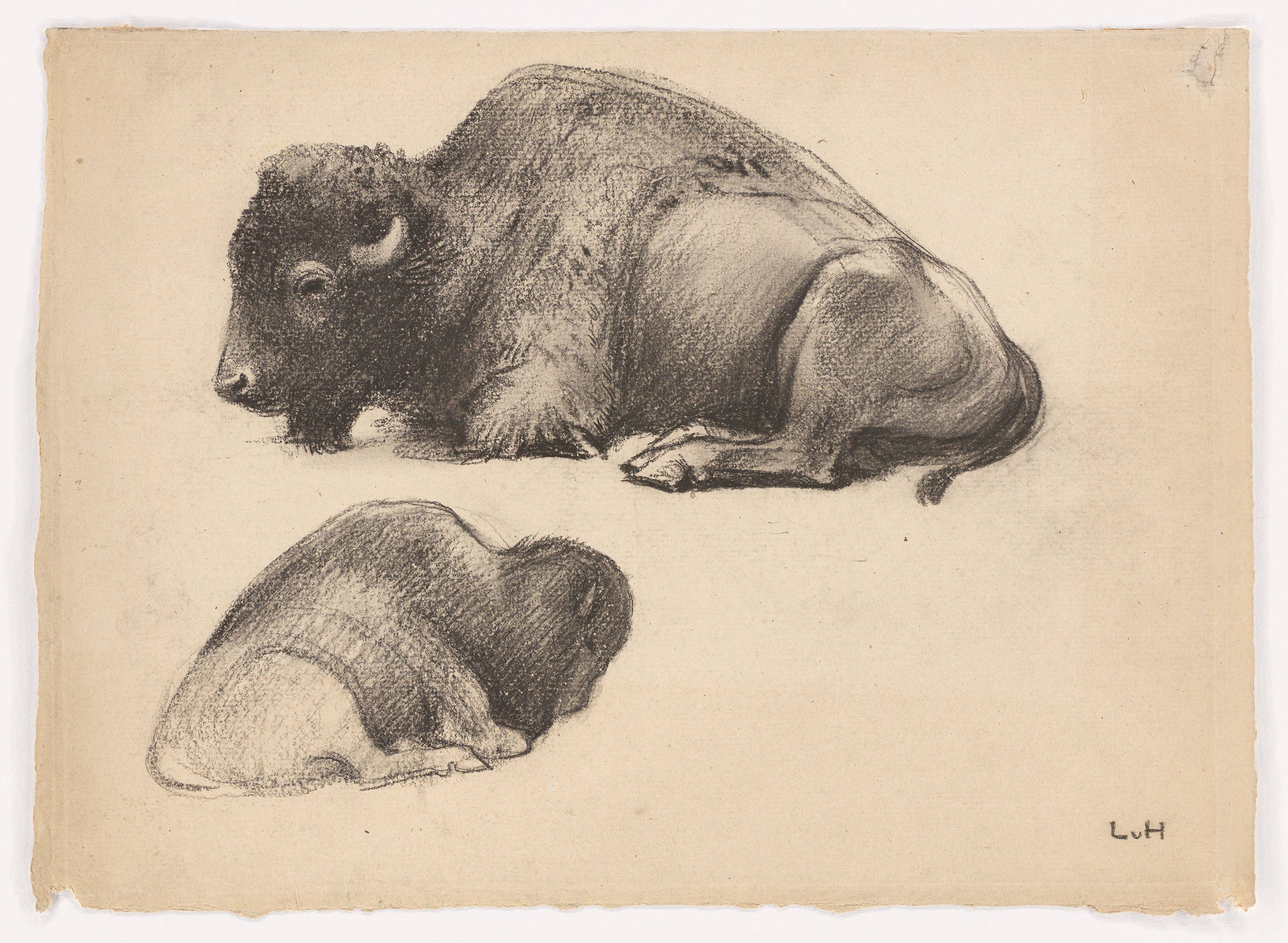 This picture shows the following artwork: Ludwig von Hofmann. Liegender Bison in zwei Ansichten (Reclining bison in two different views). Circa 1900.