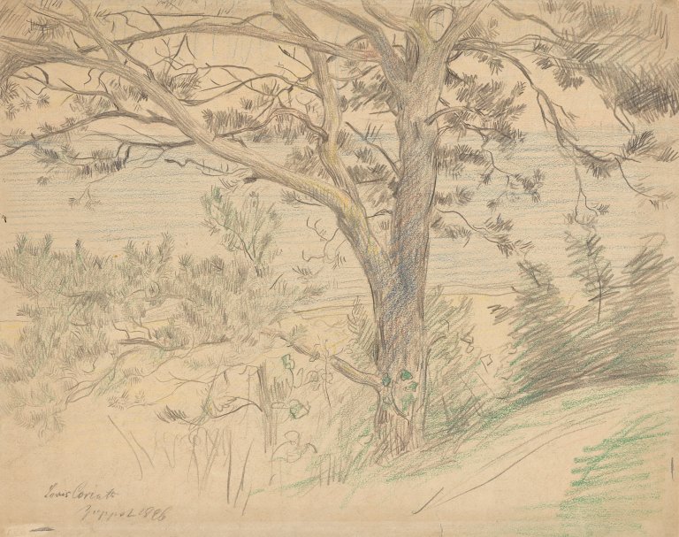 This picture shows the following artwork: Lovis Corinth. Strandkiefer an der Ostseeküste bei Zoppot (Beach pine on the Baltic Sea coast near Sopot). 1896.