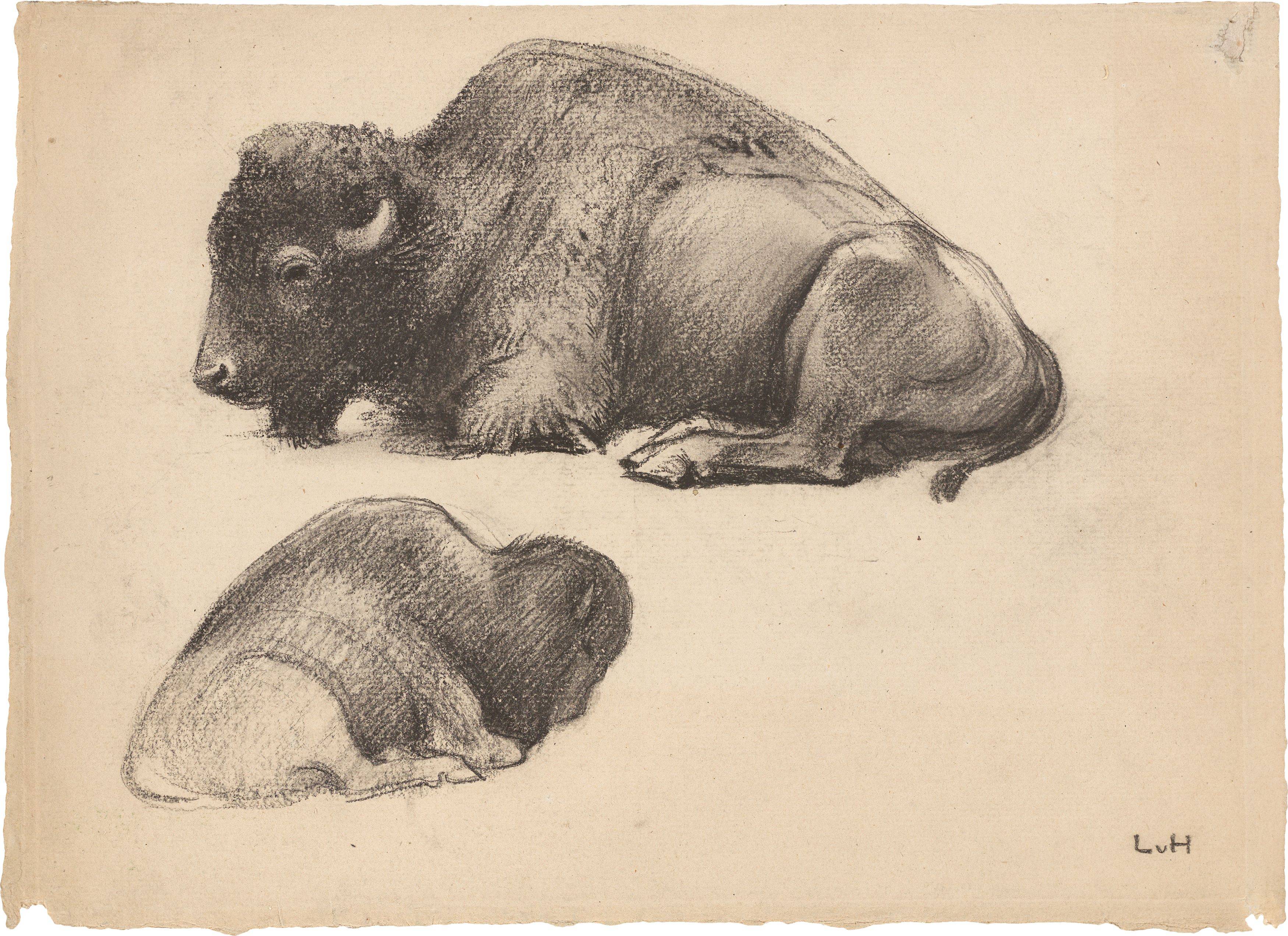 This picture shows the following artwork: Ludwig von Hofmann. Liegender Bison in zwei Ansichten (Reclining bison in two different views). Circa 1900.